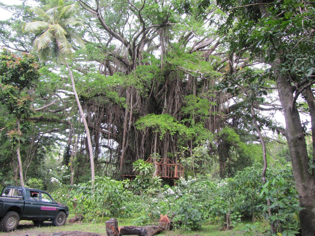Yasur View Bungalows Loanengo 외부 사진